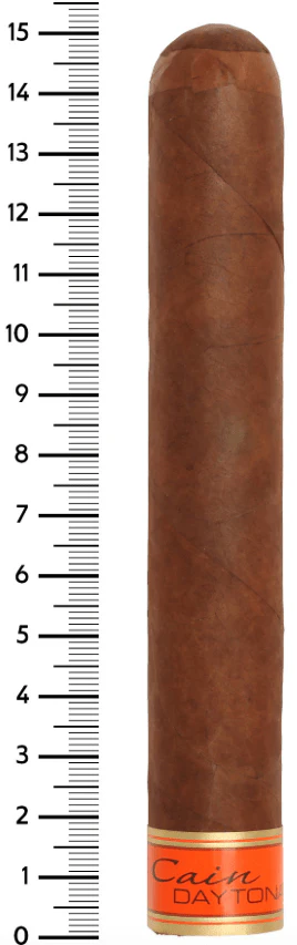 Caine - Daytona Double Toro 6 x 60 24 stick - Image 2
